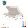 PLATEAUX TRAITEUR CARTON 28X42CM 3 COLORIS