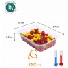 Barquette scellable 250ml alphacel cltp