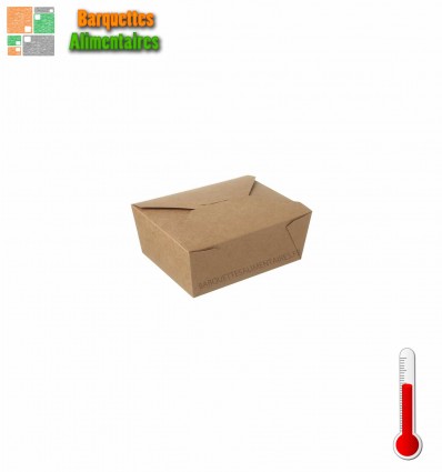 LUNCH BOX 480 ML