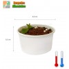 Pots carton 25 cl blanc