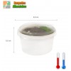 Pots carton 25 cl blanc