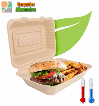 Maxi boites burger 16,5 x 22 cm