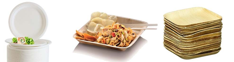 100 Assiettes Jetables En Canne à Sucre - 17,8 Cm - Biodégradables Et Compostables - Blanc